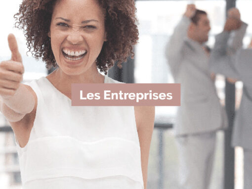 LES ENTREPRISES