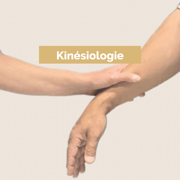 stefany-particuliers-kinesiologie